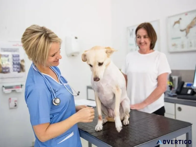 Find the Best Veterinary Doctor near Me