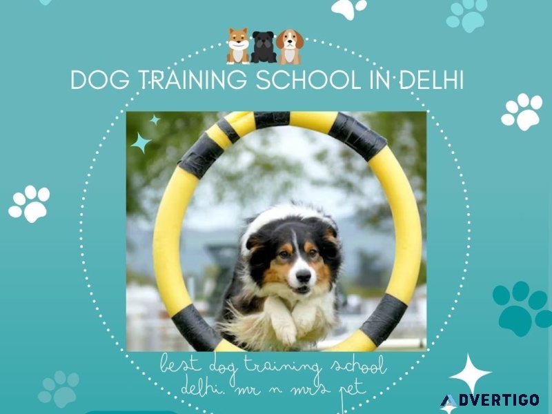 Dog Training School Delhi