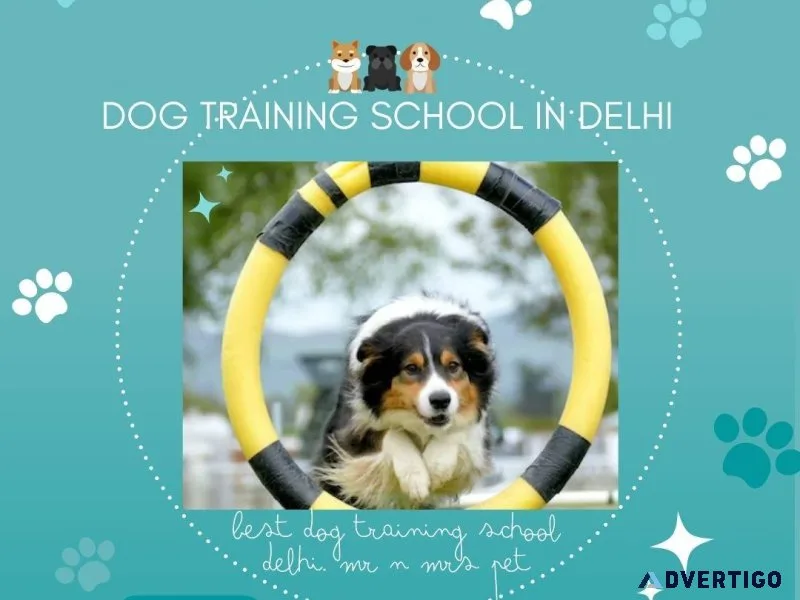 Dog Training School Delhi