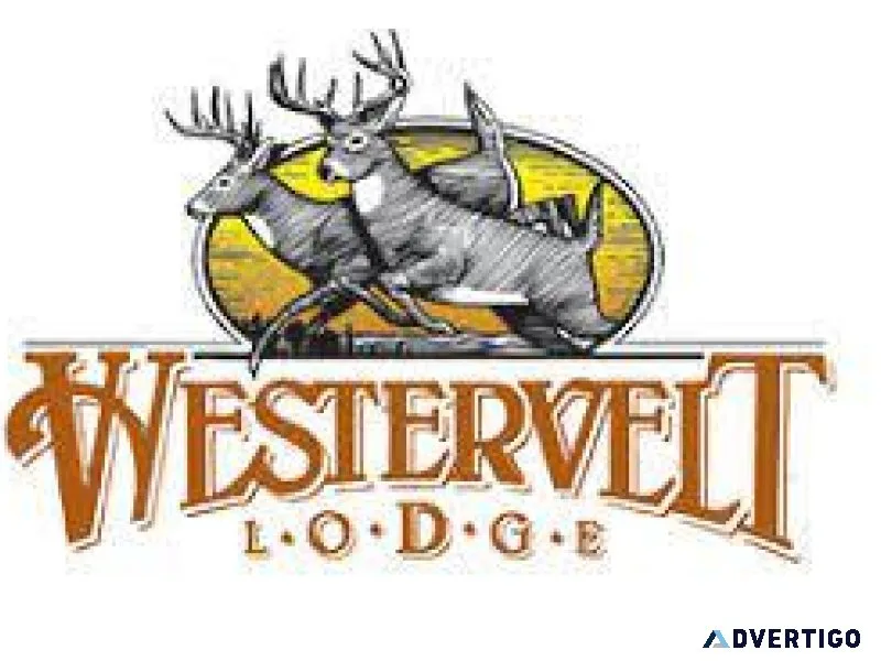 Get Hunts and Wingshooting Activities In Alabama