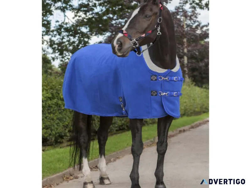 Horse Thermal Rugs Exporter in Kanpur
