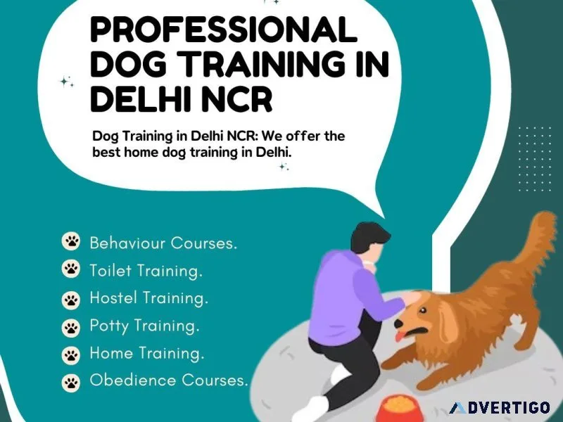Professional Dog Training in Delhi NCR