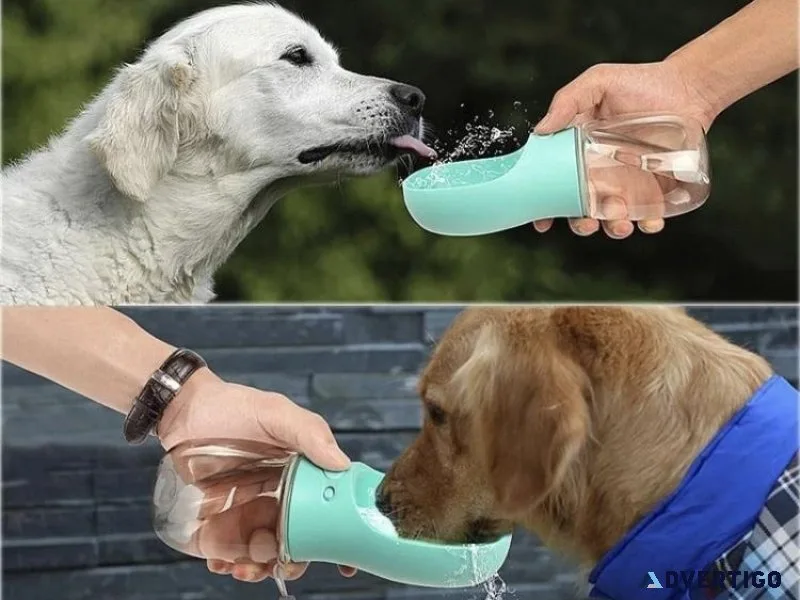 Pet supplies as cheap as &pound1 1