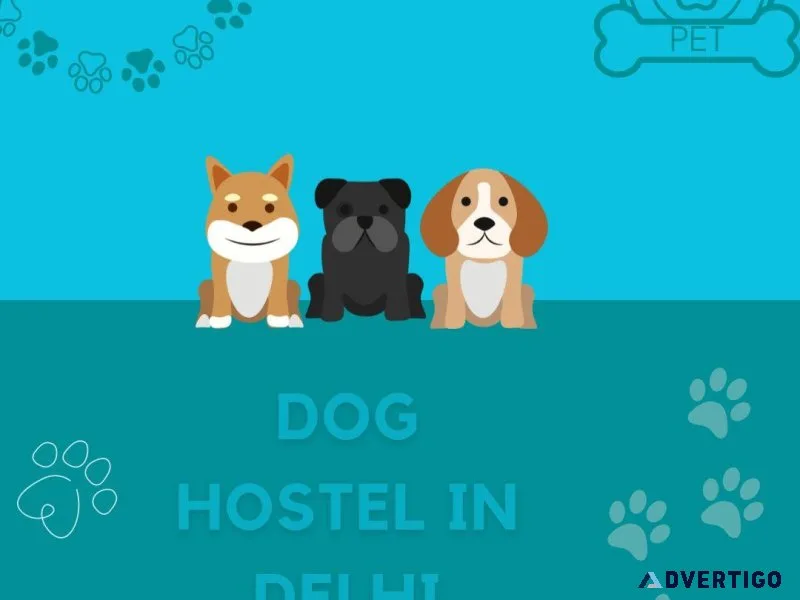 Dog Hostel in Delhi