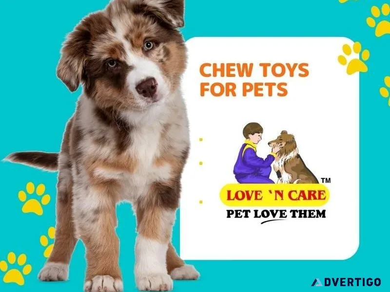 Chew Toys for Pets Keep Them Happy Call 91 9810110201