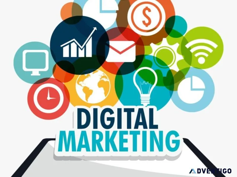 Digital Marketing- Come hurry comply with our openings