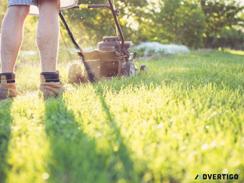 Lawn Mower Blade Sharpening and Yard Tool Maintenance