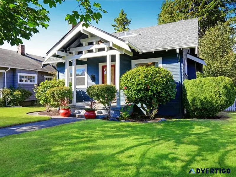 Ways You Can Keep Your Trees Strong  and Healthy 