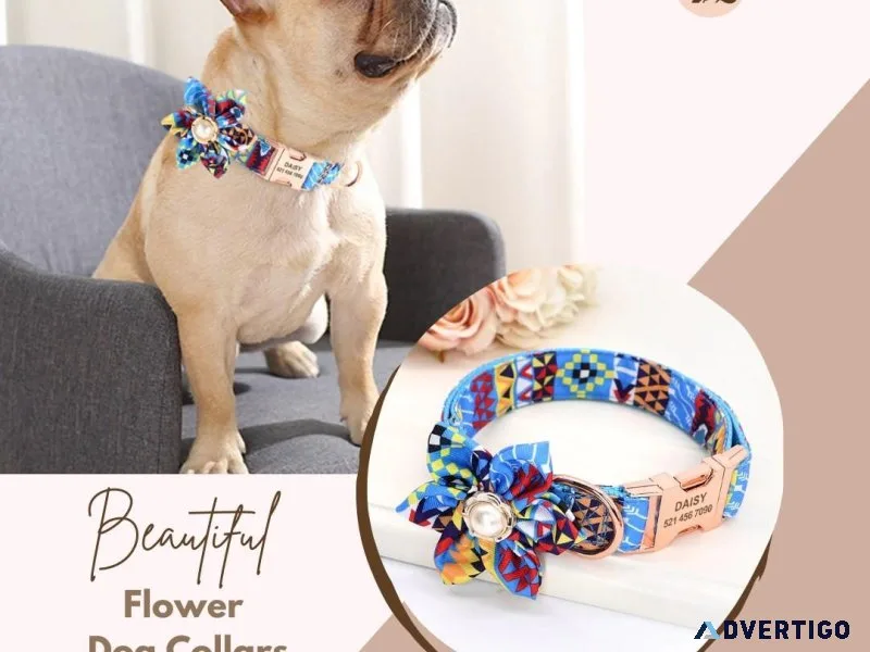 Exquisite Floral Dog Collars for Your Beloved Pet  By CurliTail