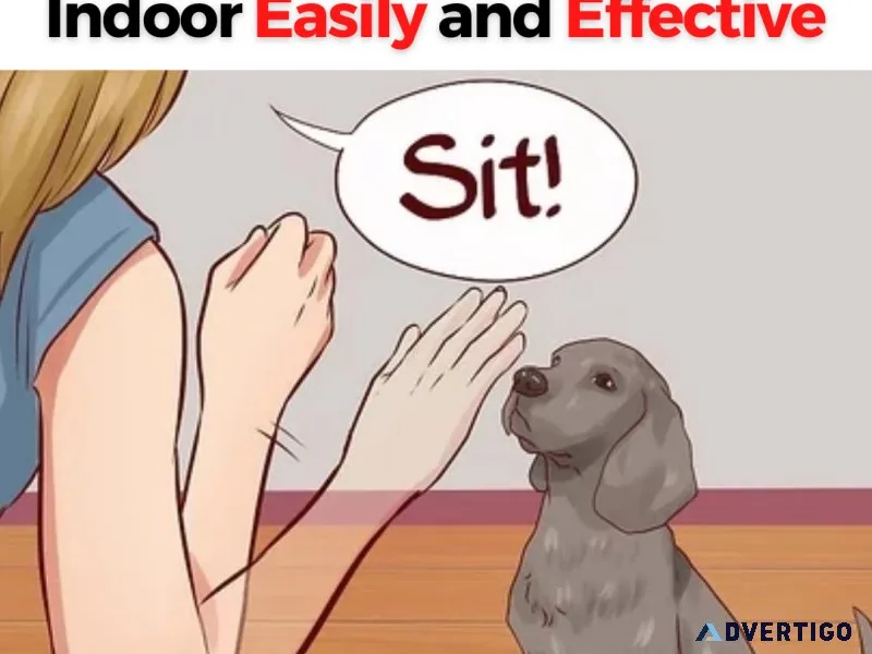 How To Train Your Puppy