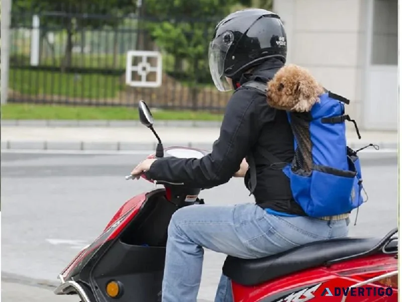 Buy Motorcycle Dog Backpack Online
