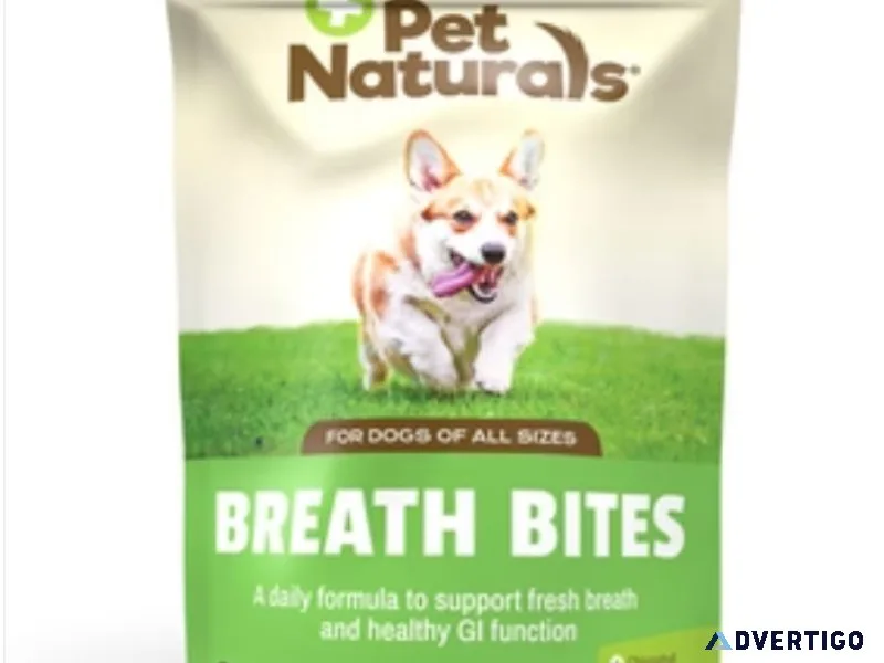 Dog Supplements and Vitamins
