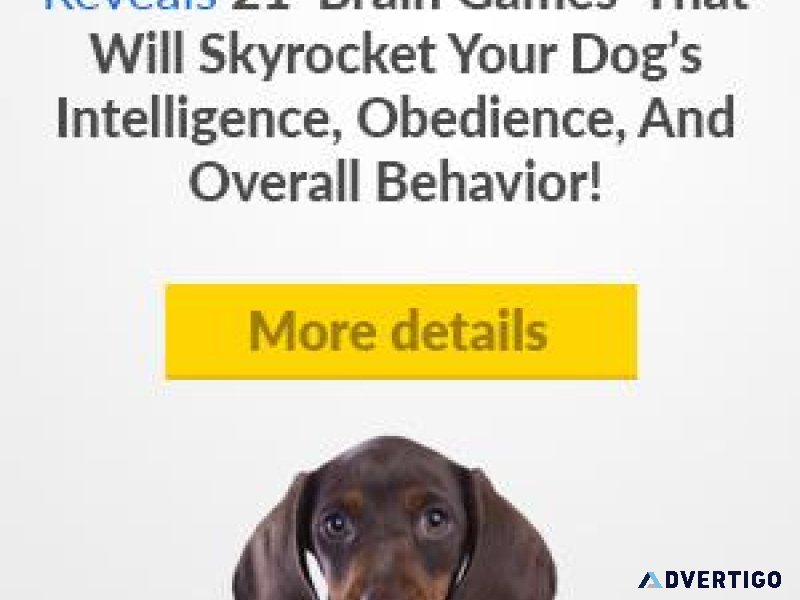 Brain Training for Dogs - Unique Dog Training Course