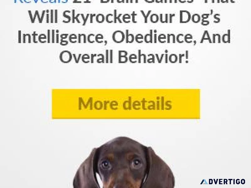 Brain Training for Dogs - Unique Dog Training Course