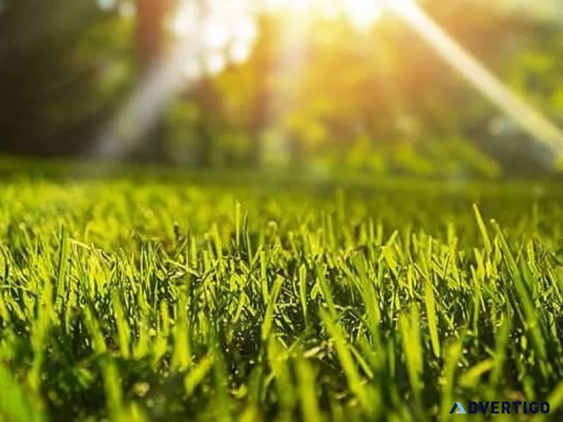 Lawncare