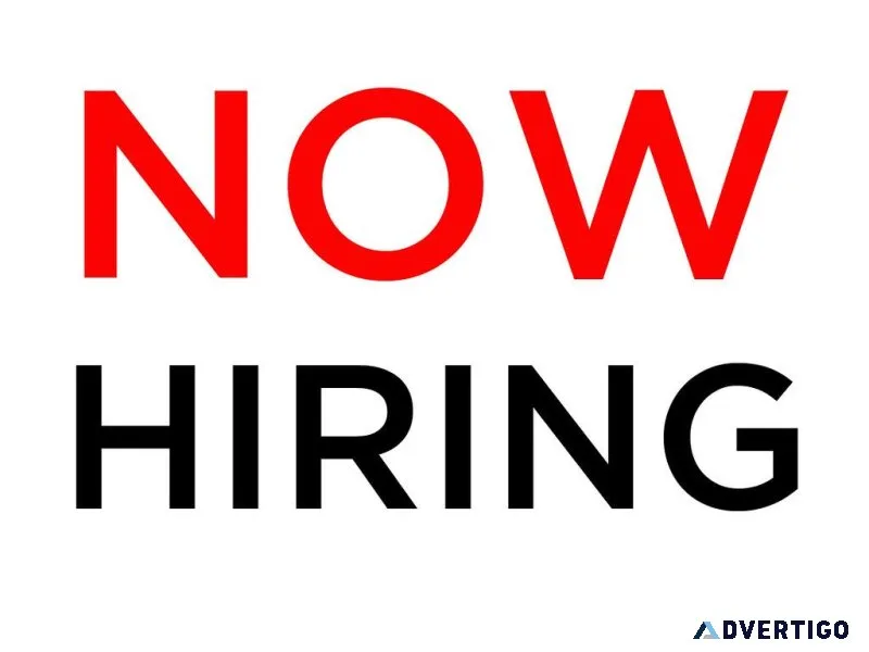 Entry Level Office Clerk