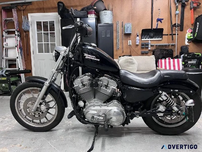 Harley davidson iron