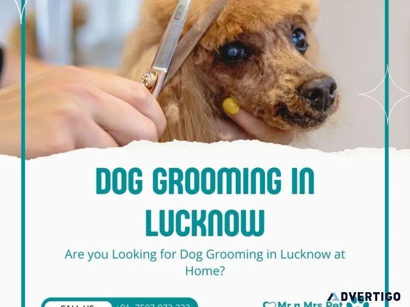 Dog Grooming Services in Lucknow