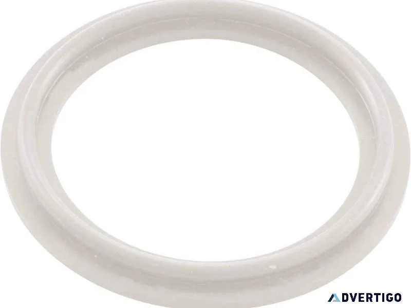 Waterway Plastics 2&Prime Heater O-RingGasket