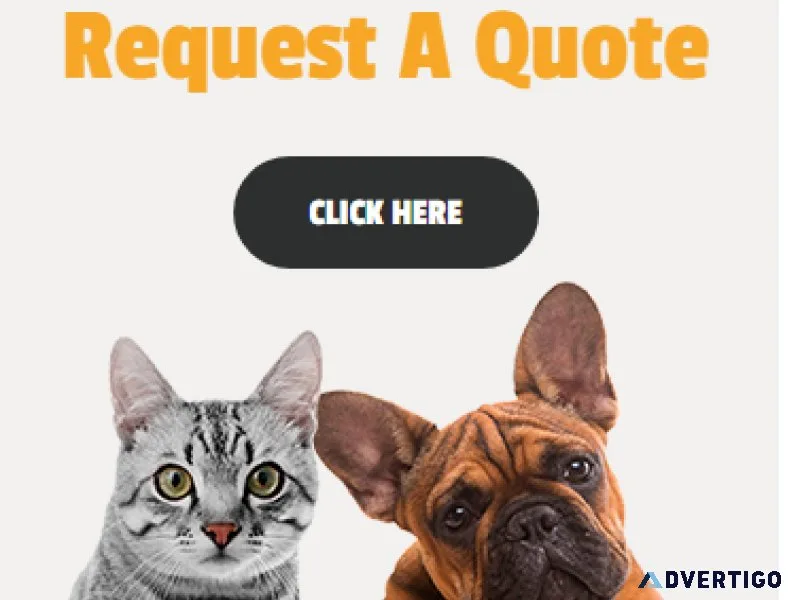 International Pet Relocation Services by AirPets