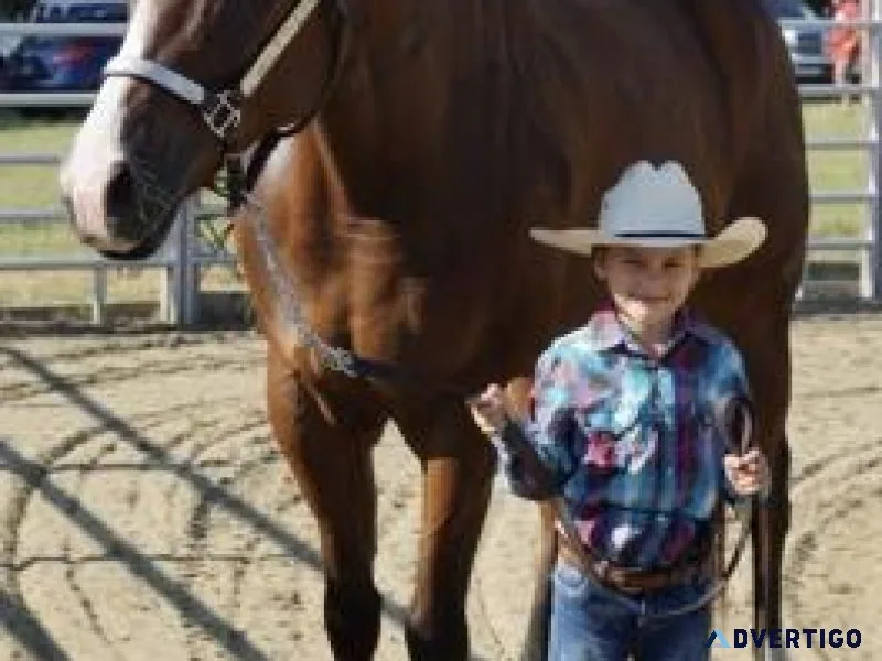 Got A Lot Of Moves (Jagger) 9-year-old 15 hh