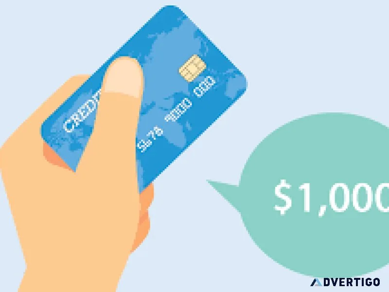 INPUT YOUR INFORMATION TO GET A 1000 CREDIT LINE NOW
