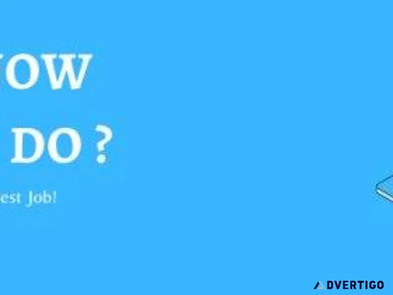 Top SEO Job Opportunities in Lucknow Apply Now