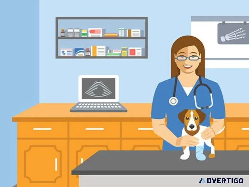 Best Veterinary Care Clinic in Sector 137 Noida