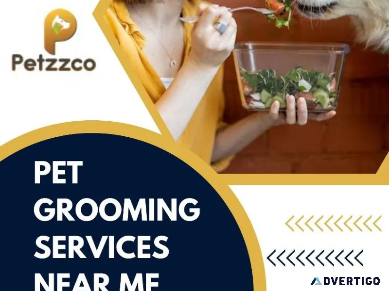 Find Professional Pet Grooming Near Mepetzzco