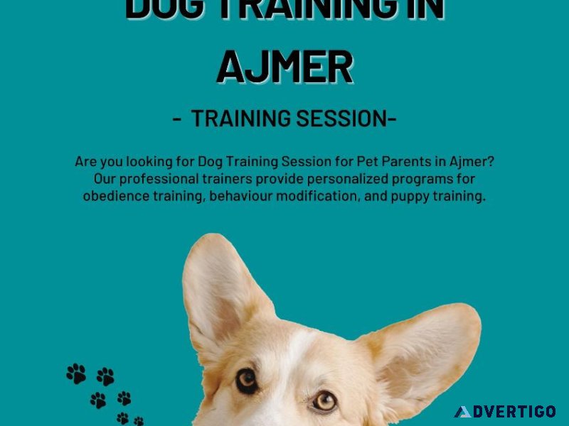 Dog Trainer in Ajmer