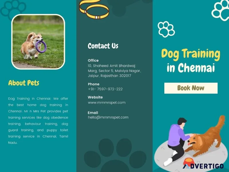Professional Dog Training in Chennai