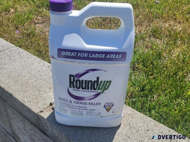 Roundup High Concentrate 1gal