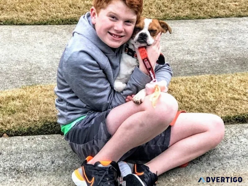NJ Queen Elizabeth Therapy Dog Adoptive Event