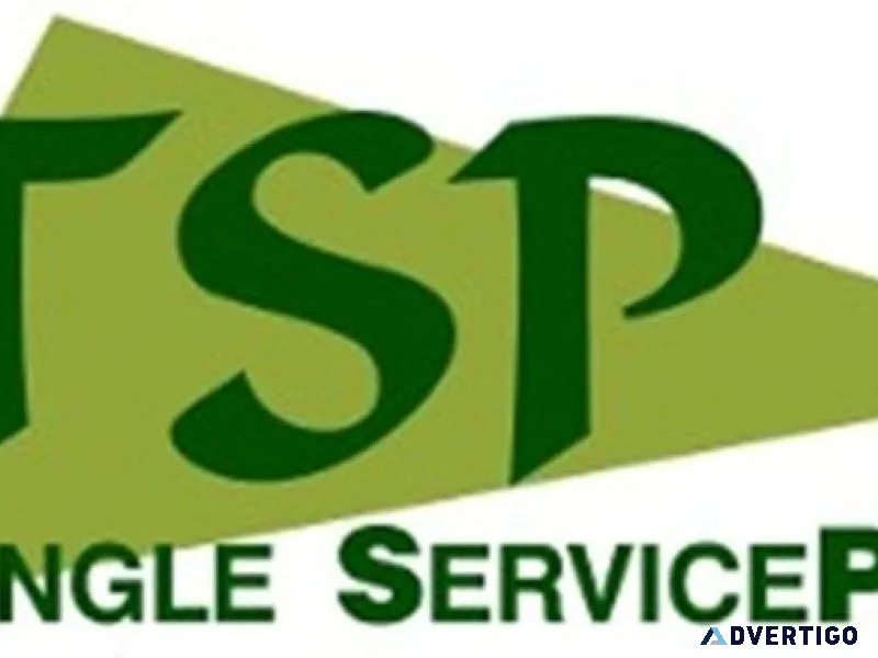Affordable stump grinding