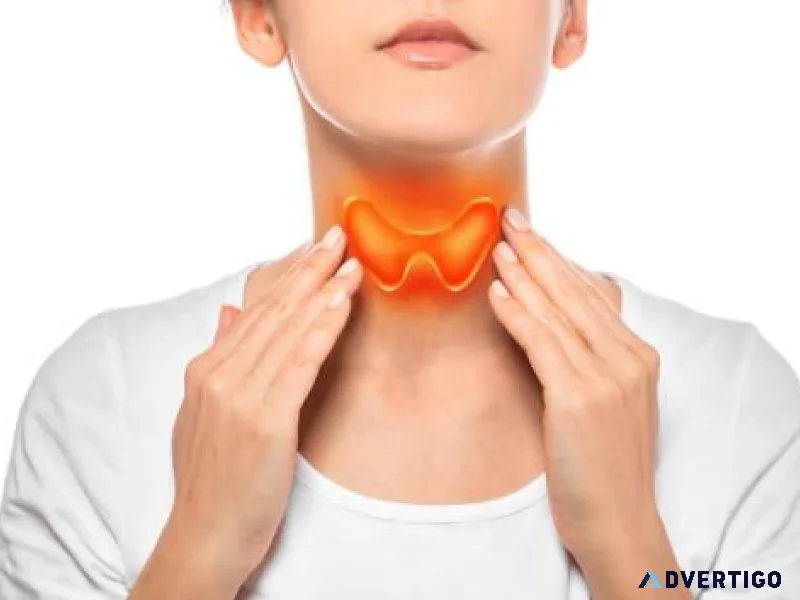 Understanding Thyroid Health A Comprehensive Guide
