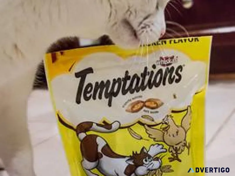 Buy Cat Treats with cheap prices at India Online - Pawrulz