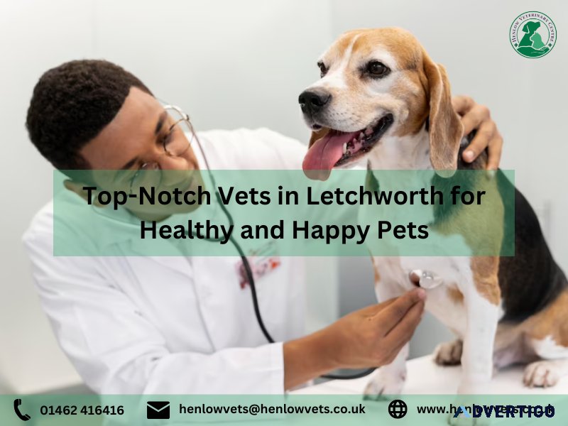Top-Notch Vets in Letchworth for Healthy and Happy Pets