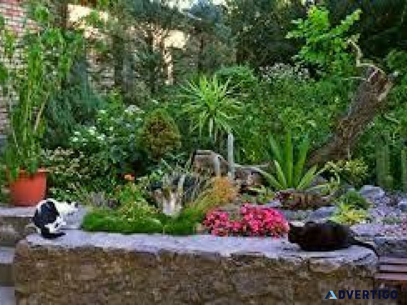 Crisis Solved with YOUR Backyard Pharmacy Garden Kit