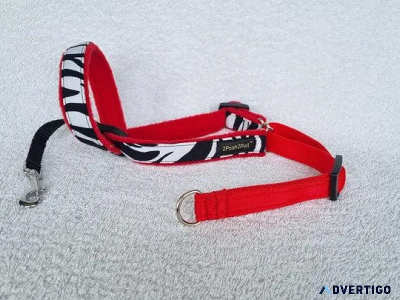 Buy Coloured Head collar collection for Dogs from 2posh2pull