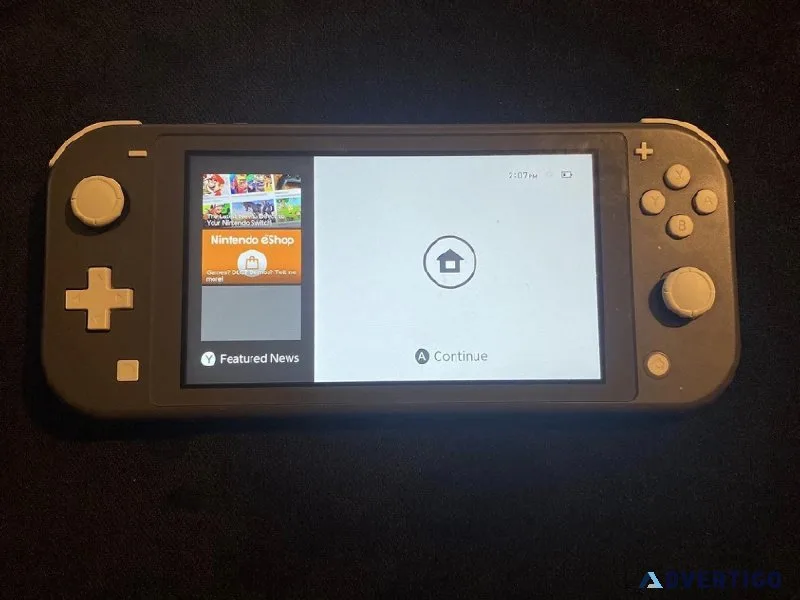 Nintendo switch lite