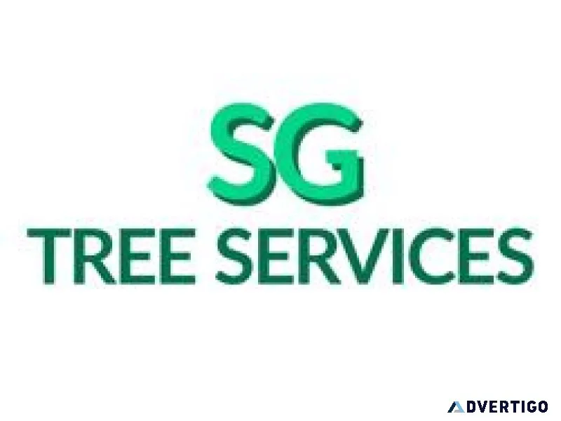 Professional Tree Removal and Tree Cutting Services In Aberdeen