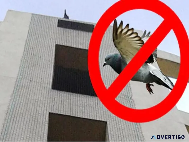 Pigeon safety nets in bangalore