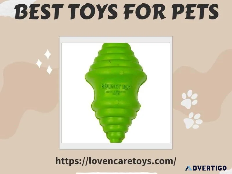 Discover the Best Toys for Pets