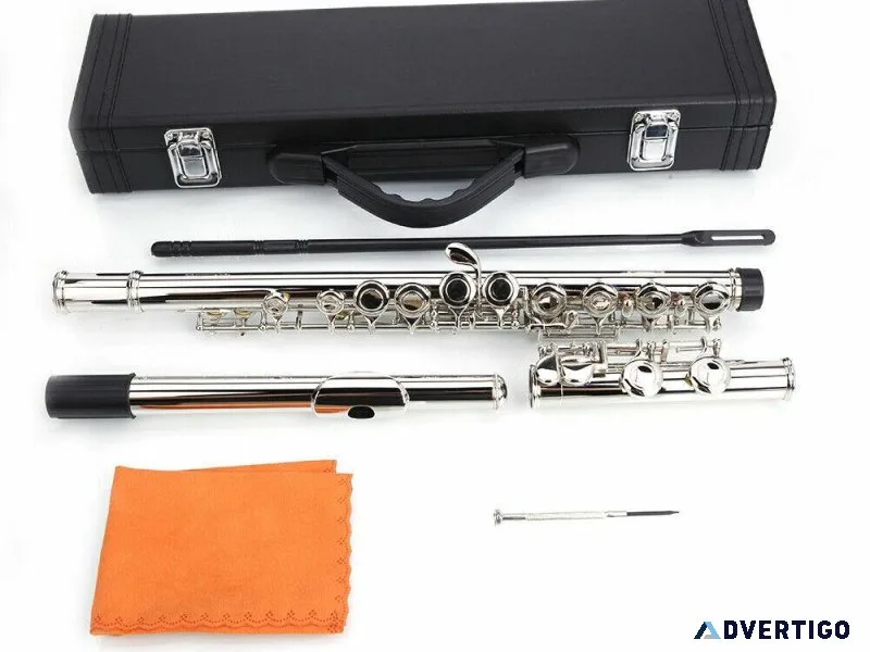 Mendini By Cecilio Flutes Closed Hole C Flute
