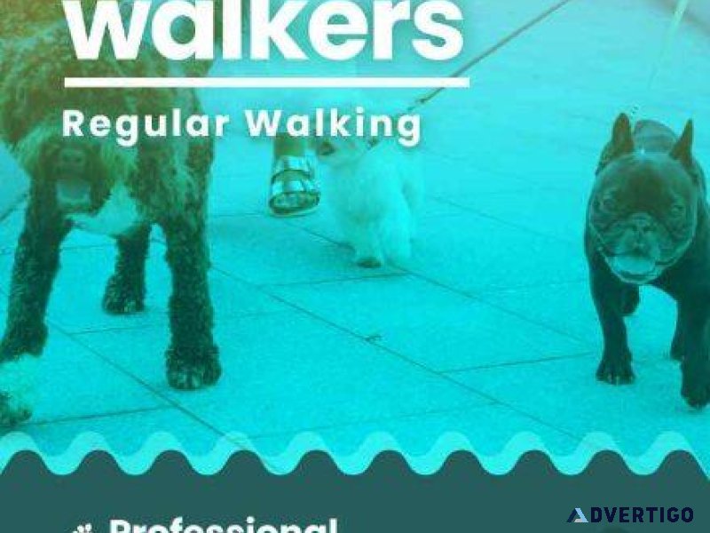 Dog Walking Services in Bangalore