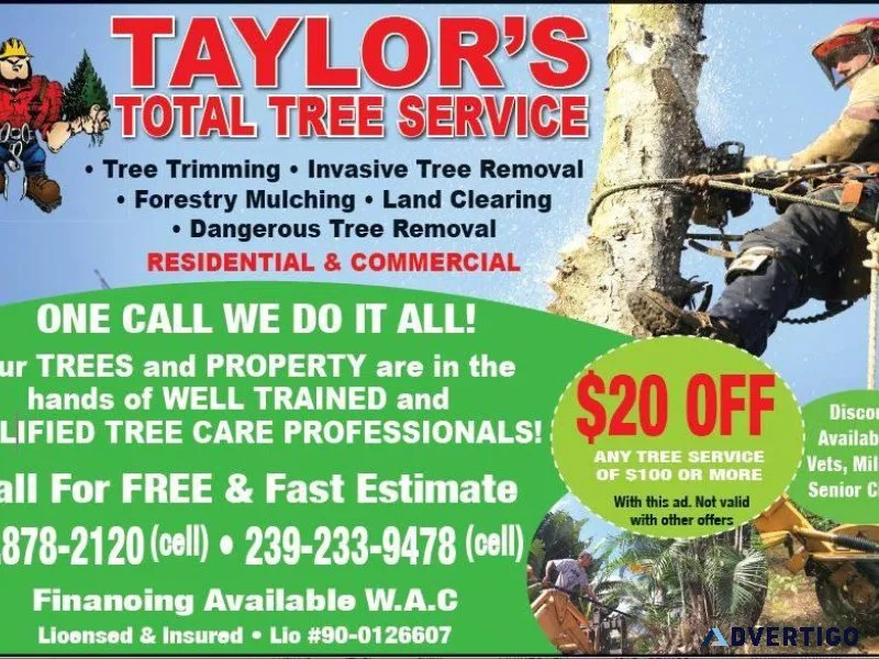 TREE REMOVAL LAND CLEARING DUMPSTER SERVICE GRAPPLE LOADS