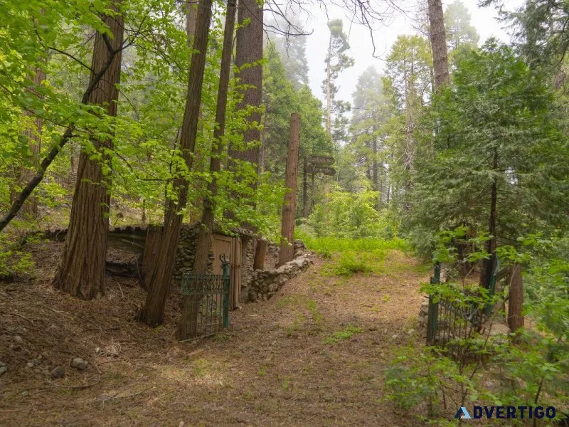 Rare level lot on a creek