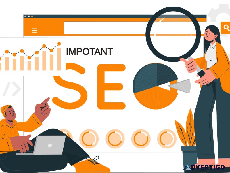 seo expert service in kerala