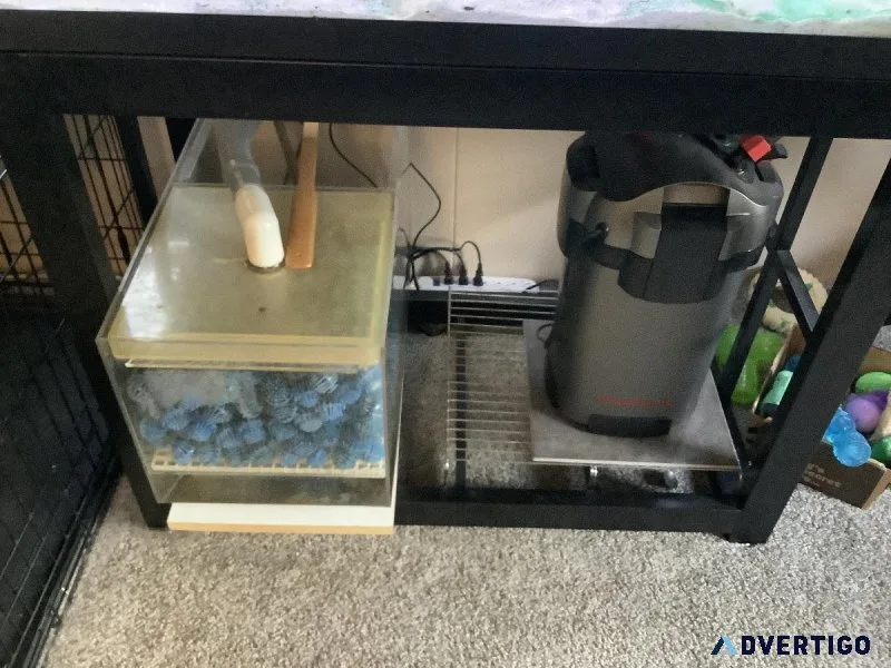 40 Gal. Breeder Aquarium complete