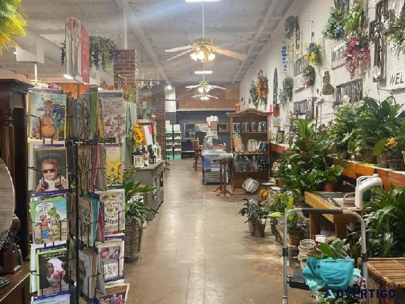 Business and Lots For Sale